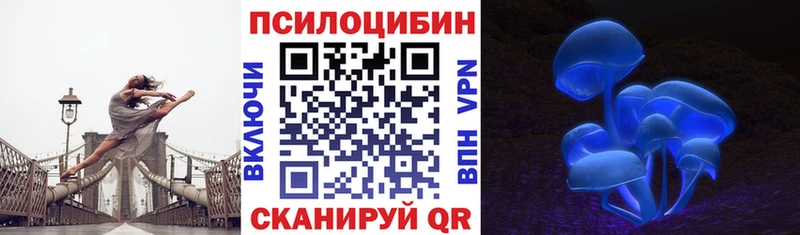 Галлюциногенные грибы Psilocybe  Углегорск 